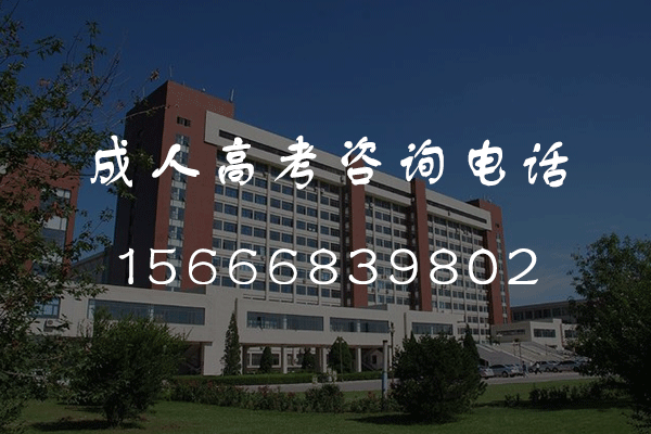 2024年枣庄成人高考考几天？